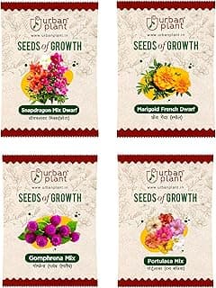 Urban Plant Flower Seeds Combo for Pots, Balcony, Terrace, and Home Gardening